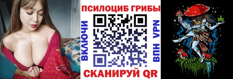 Псилоцибиновые грибы Cubensis  mega как войти  Северодвинск 